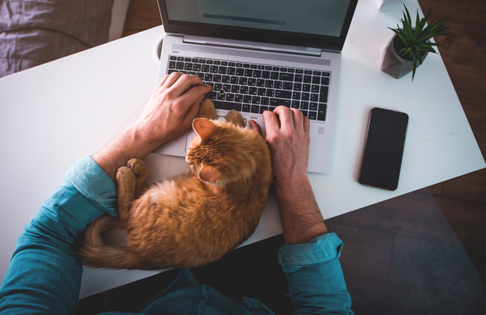 How to Work From Home With Pets